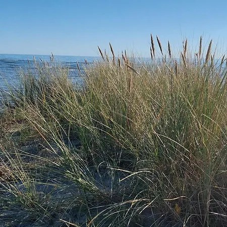 7 Person In Hals-by Traum بيت للعطل