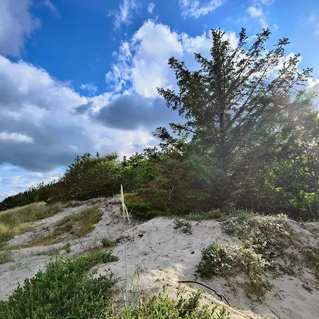 7 Person In Hals-by Traum